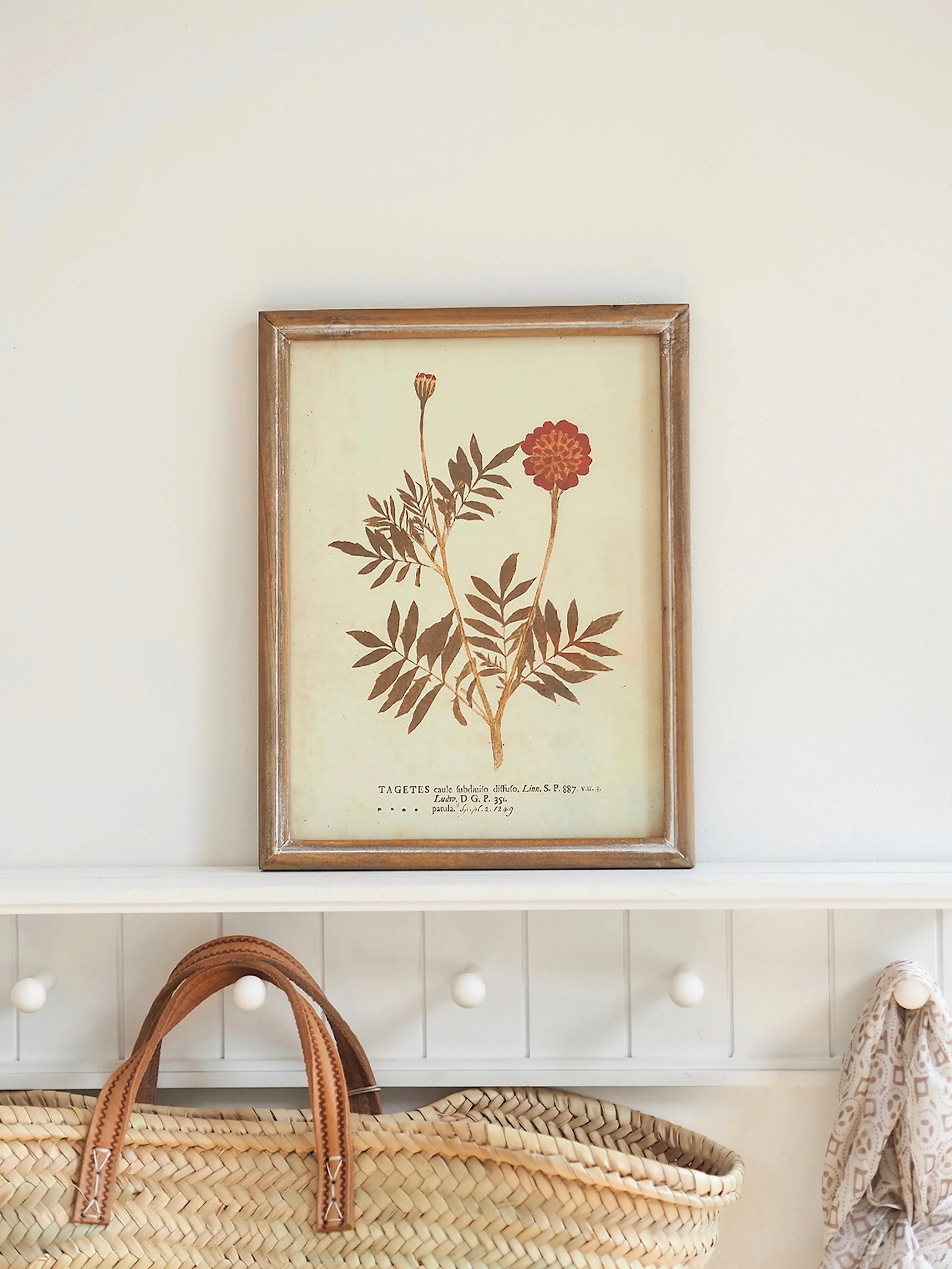 Botanicals Framed Prints | 10" x 13"