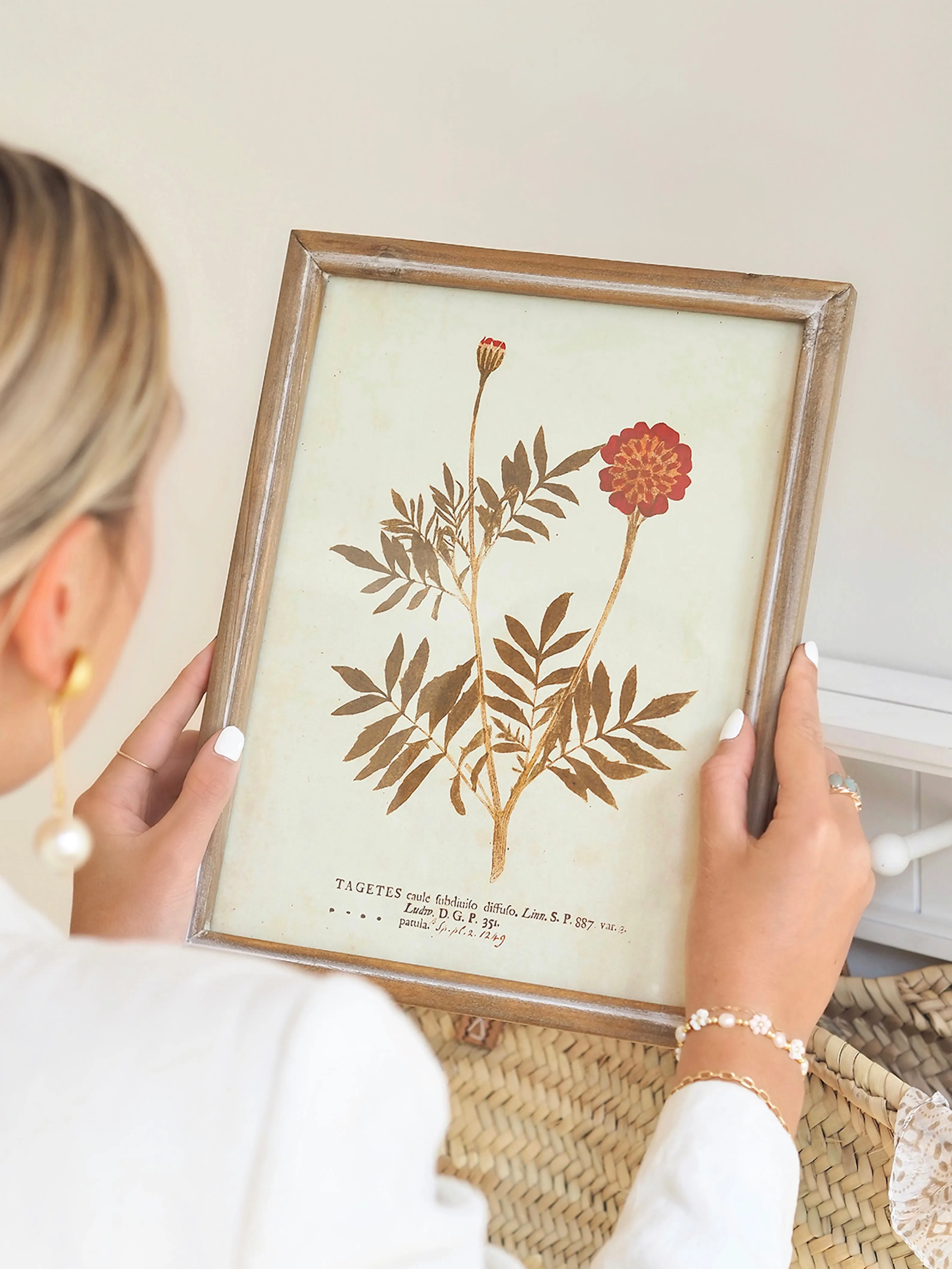 Botanicals Framed Prints | 10" x 13"