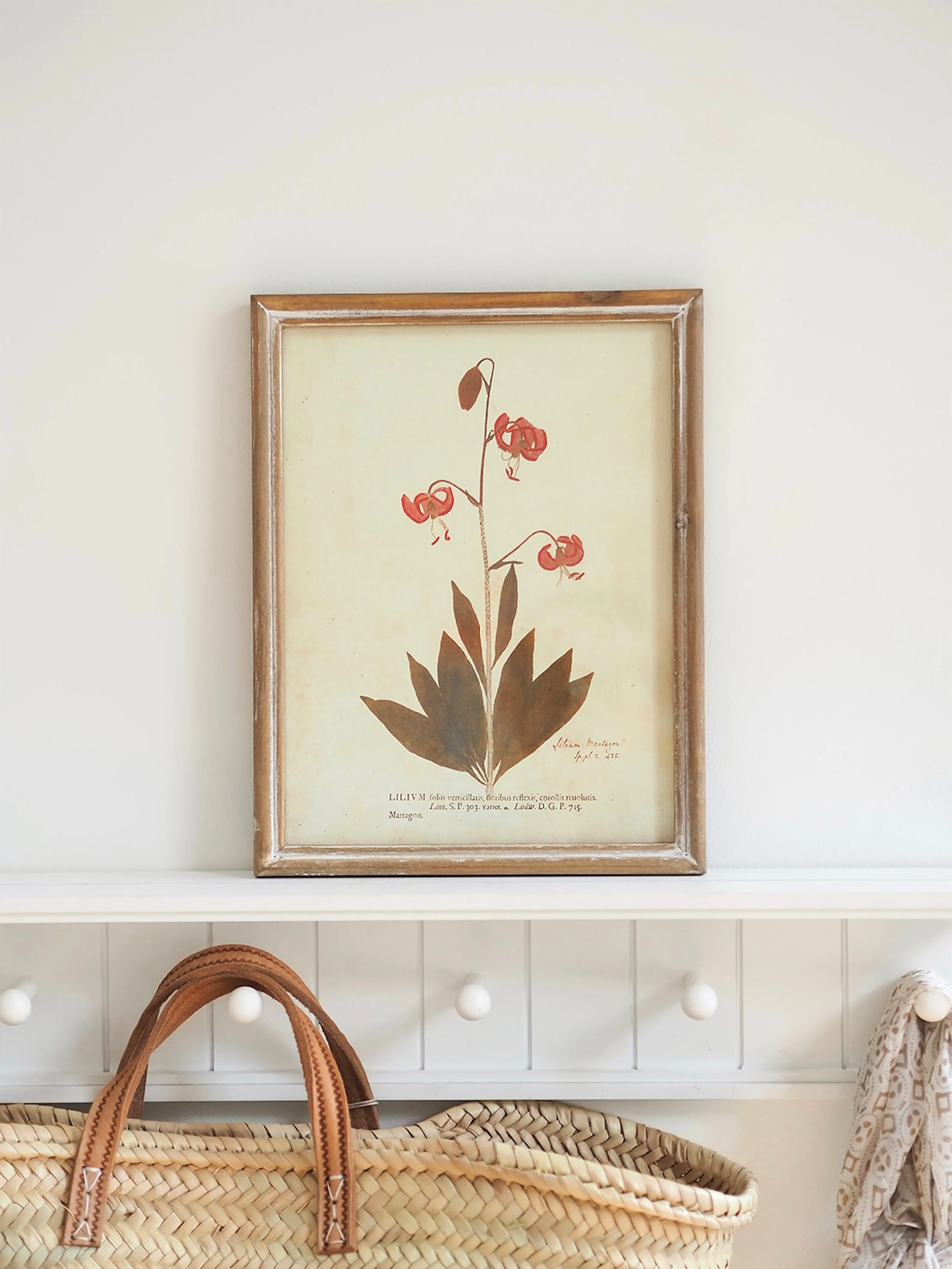 Botanicals Framed Prints | 10" x 13"