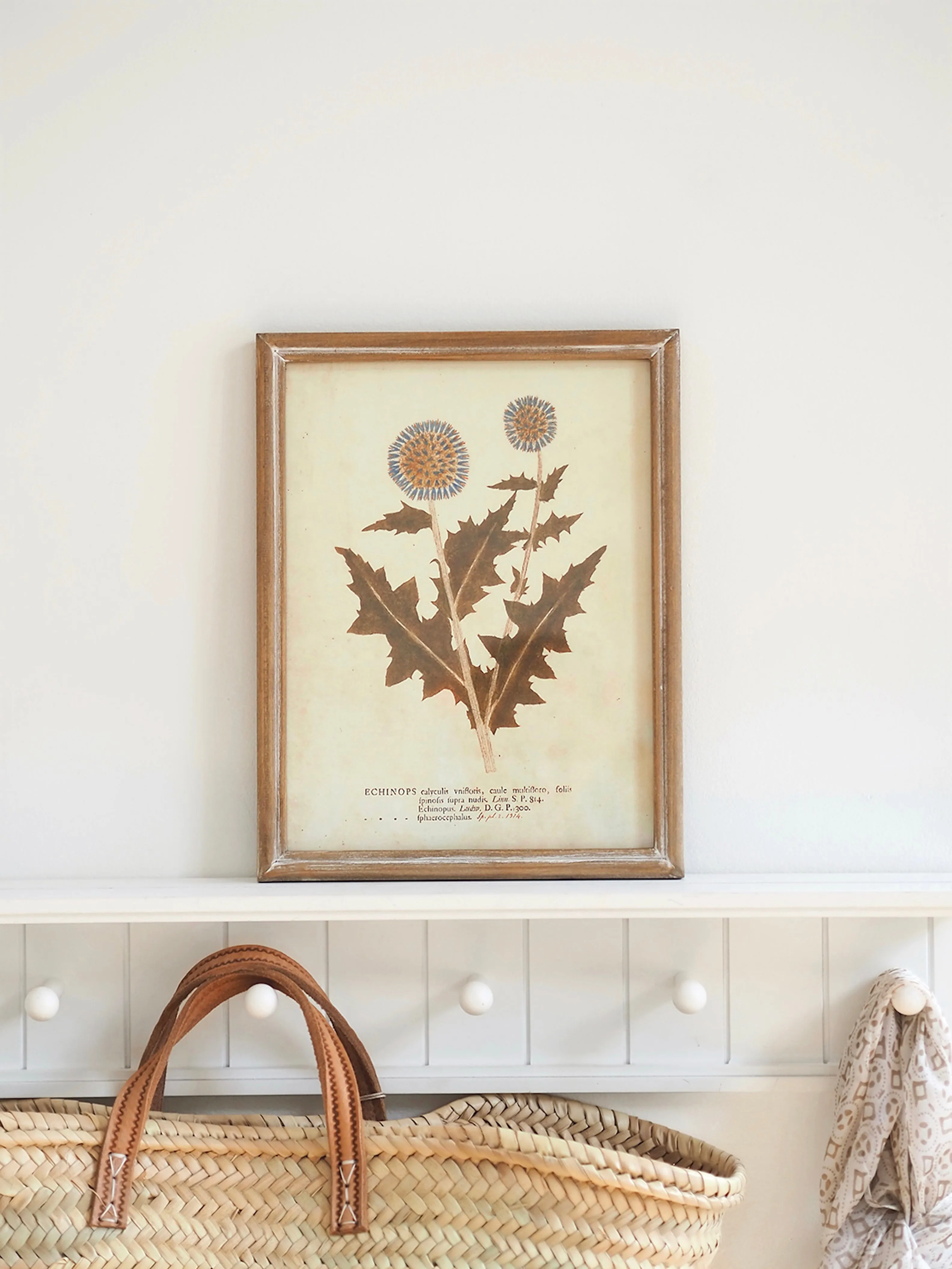 Botanicals Framed Prints | 10" x 13"