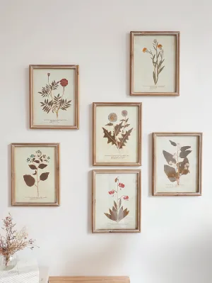 Botanicals Framed Prints | 10" x 13"
