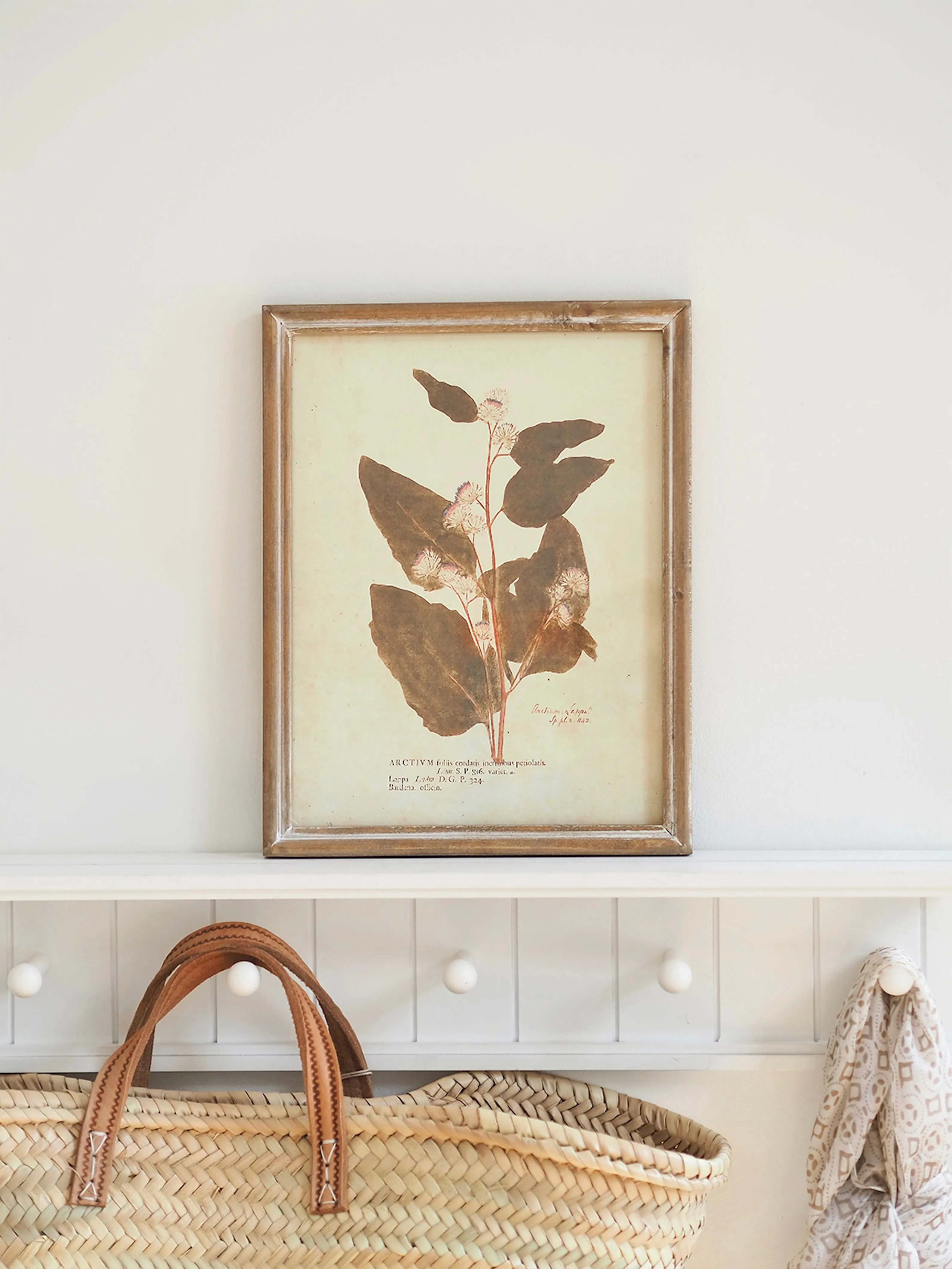 Botanicals Framed Prints | 10" x 13"