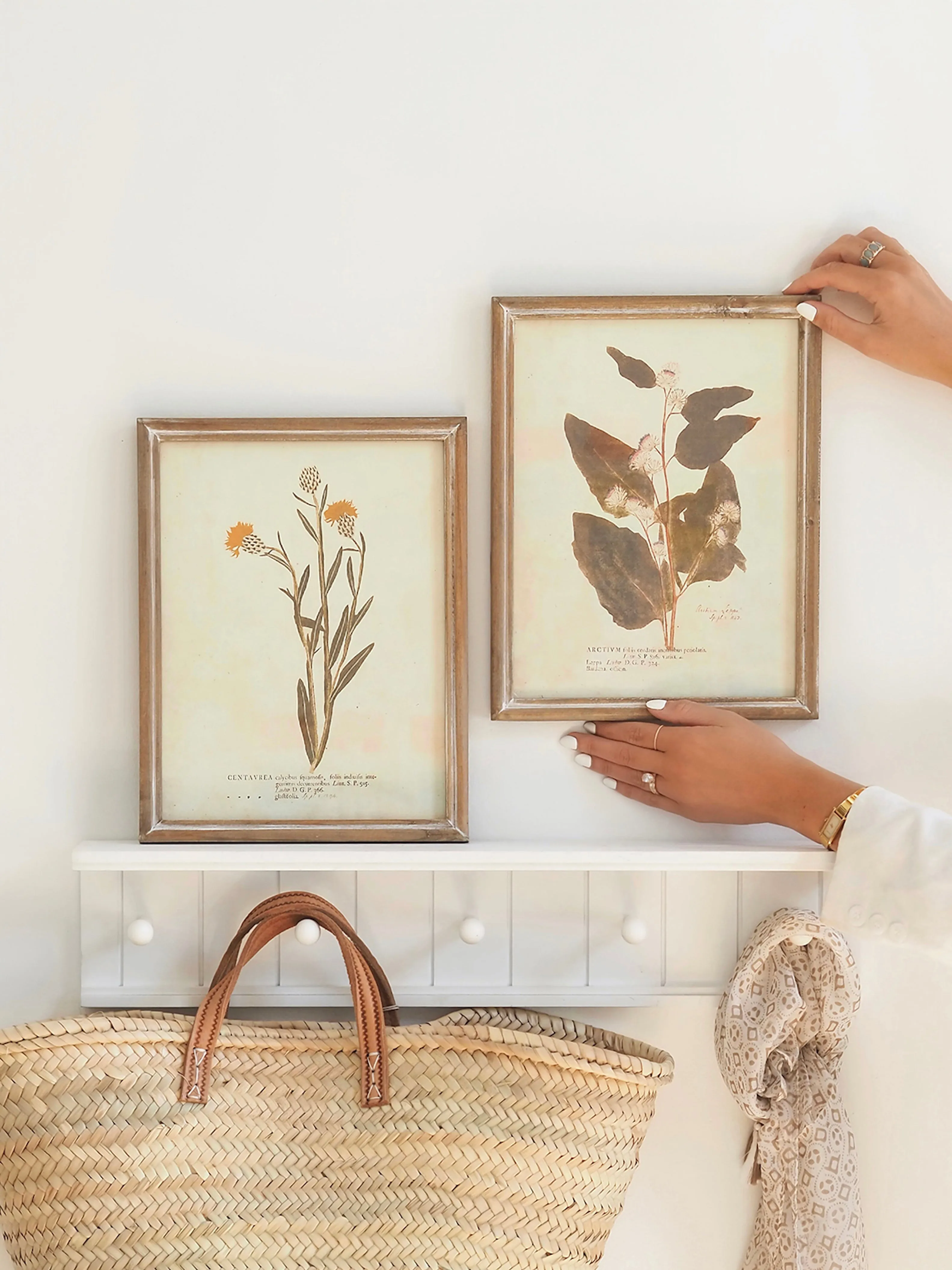 Botanicals Framed Prints | 10" x 13"