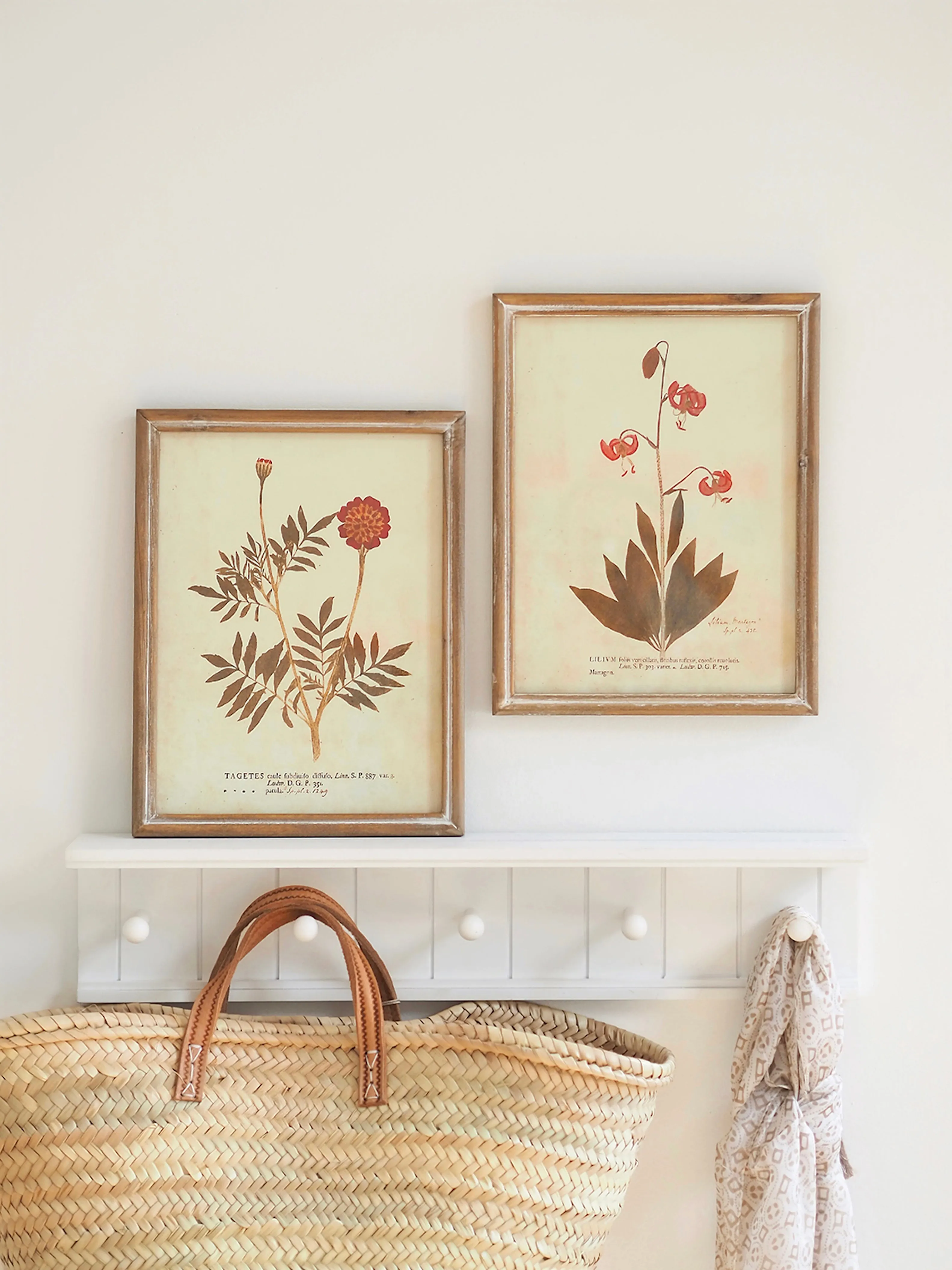 Botanicals Framed Prints | 10" x 13"