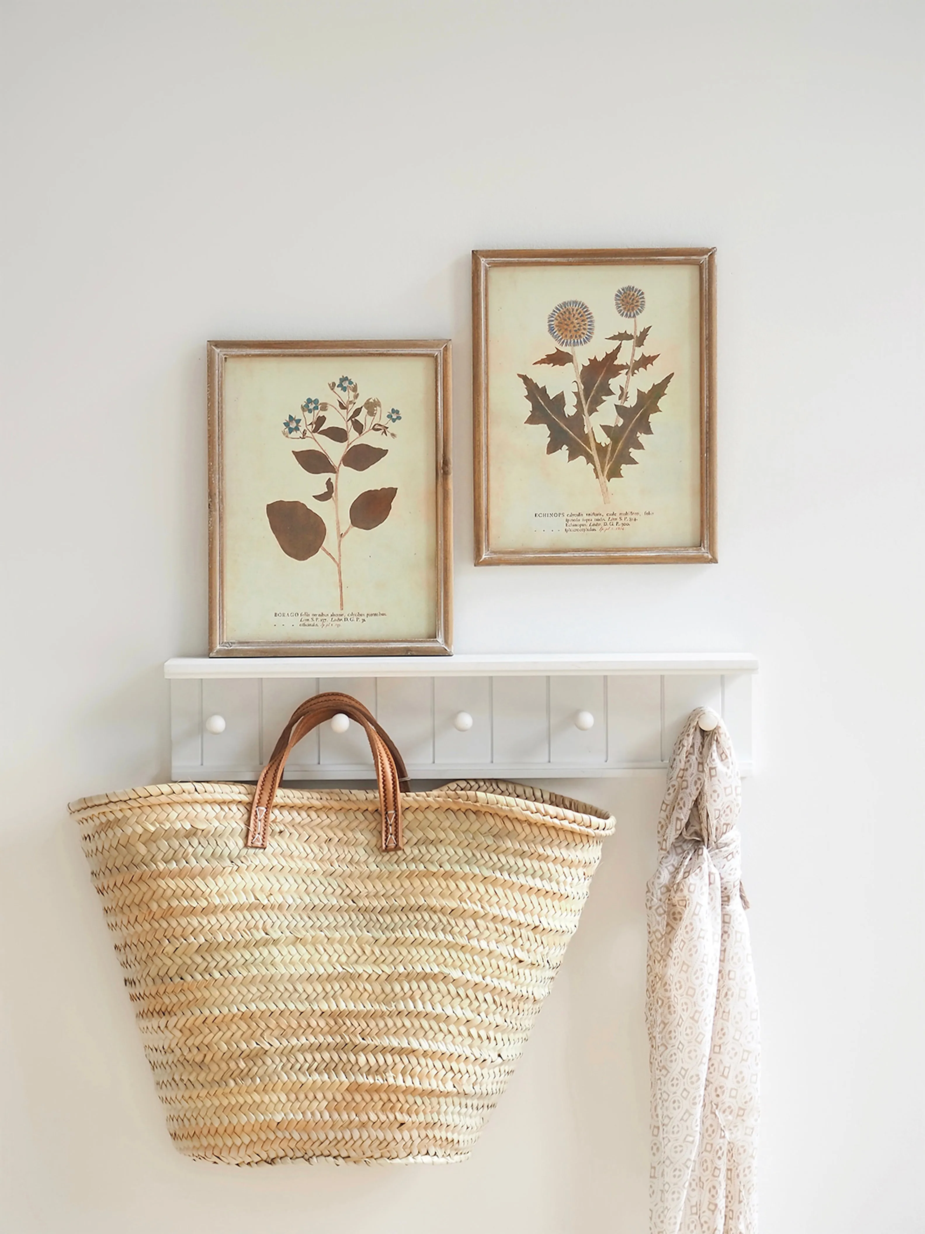 Botanicals Framed Prints | 10" x 13"