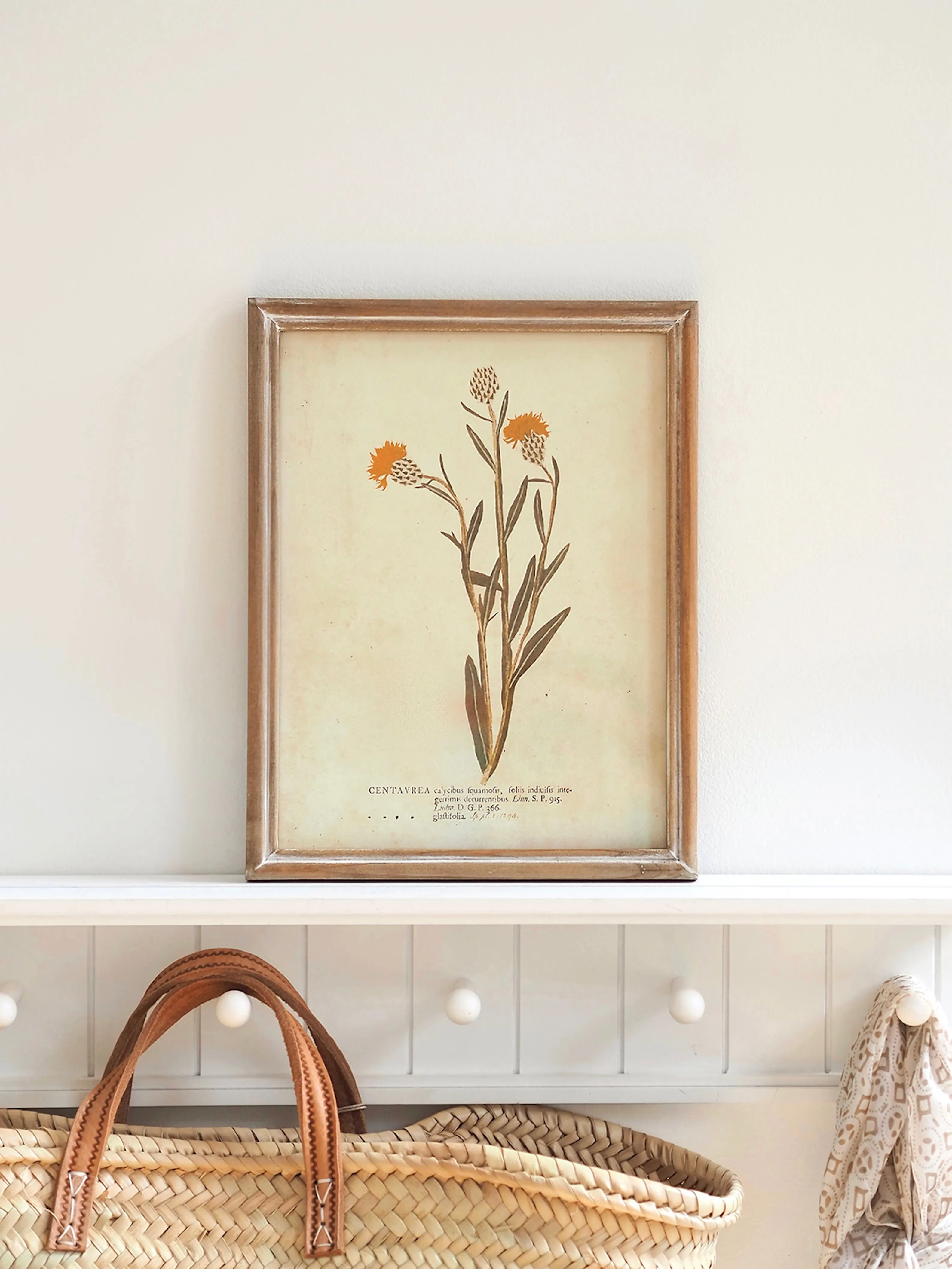 Botanicals Framed Prints | 10" x 13"