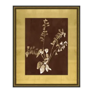 Botanist Study 3