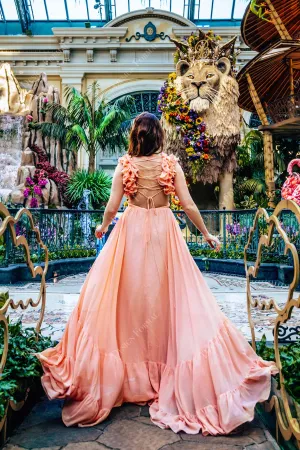 Designer Ruffled Straps Peach Chiffon A-line Fairy Prom Dress