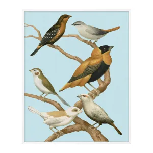 Perched 3