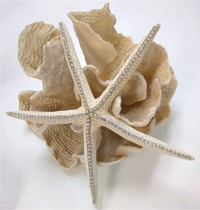 The Wishing Star Crystal Embellished Starfish